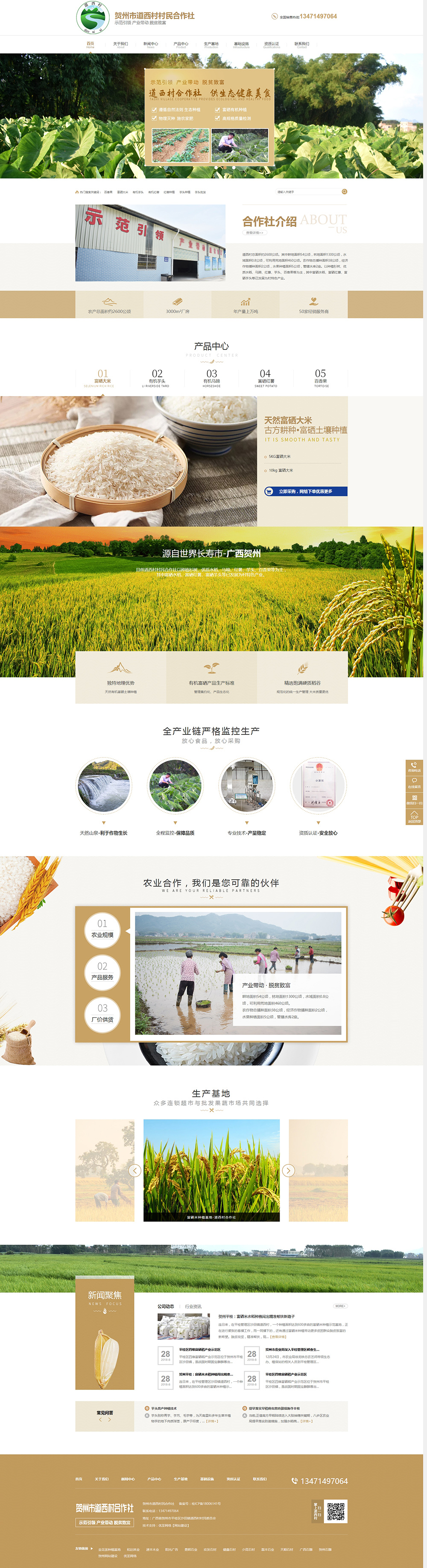 賀州富硒大米批發_賀州馬蹄批發_賀州紅薯批發_賀州芋頭批發【廠家批發_價格實惠_長壽市農產品十大品牌.jpg