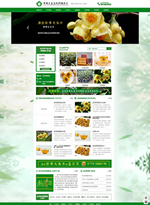 金花茶種植協會-協會官網建設案例